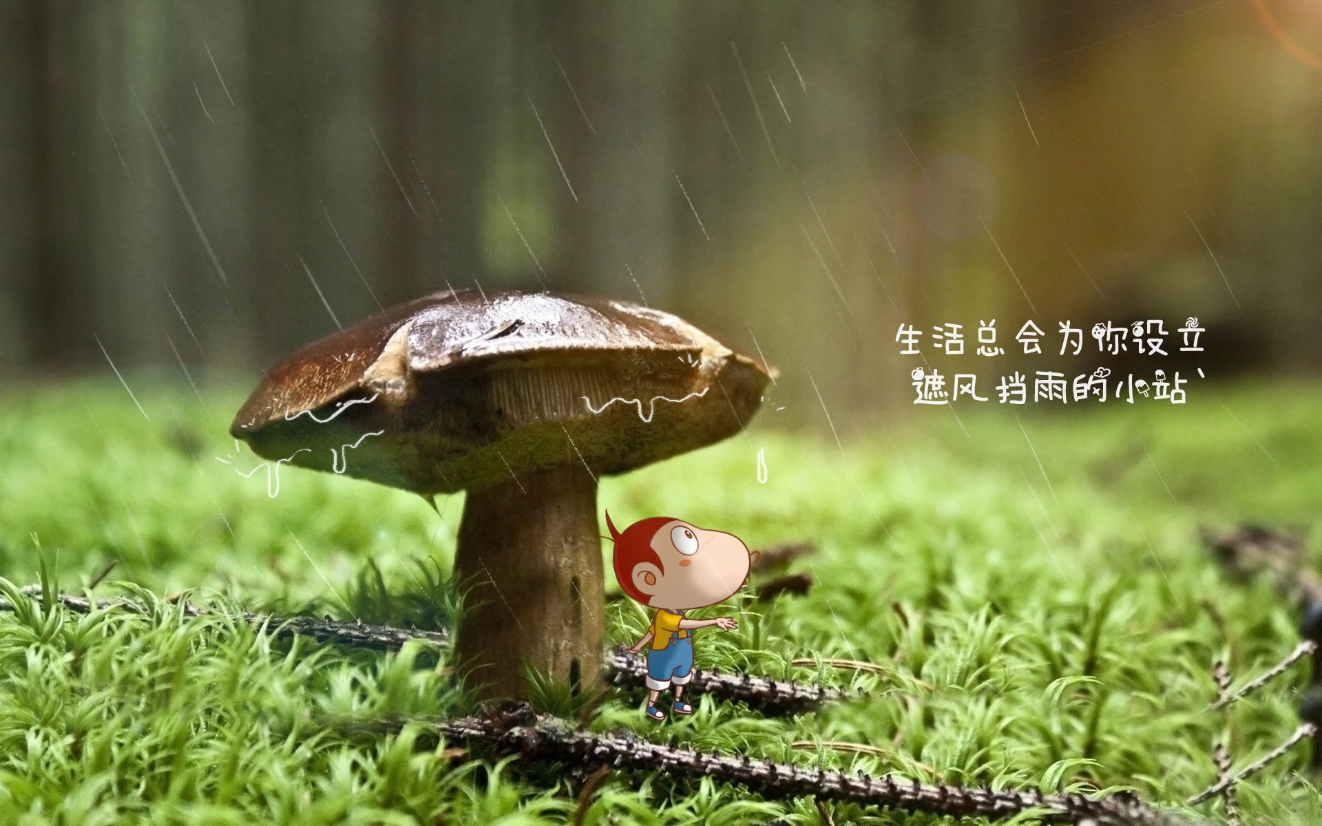 吃海鲜用英语怎么写（吃海鲜的英文怎么读）